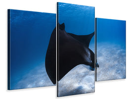 modern-3-piece-canvas-print-dancing-manta