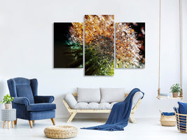 modern-3-piece-canvas-print-dandelion-in-the-morning-dew