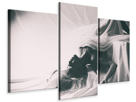 modern-3-piece-canvas-print-dreams