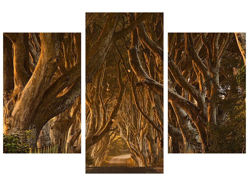 modern-3-piece-canvas-print-early-morning-dark-hedges