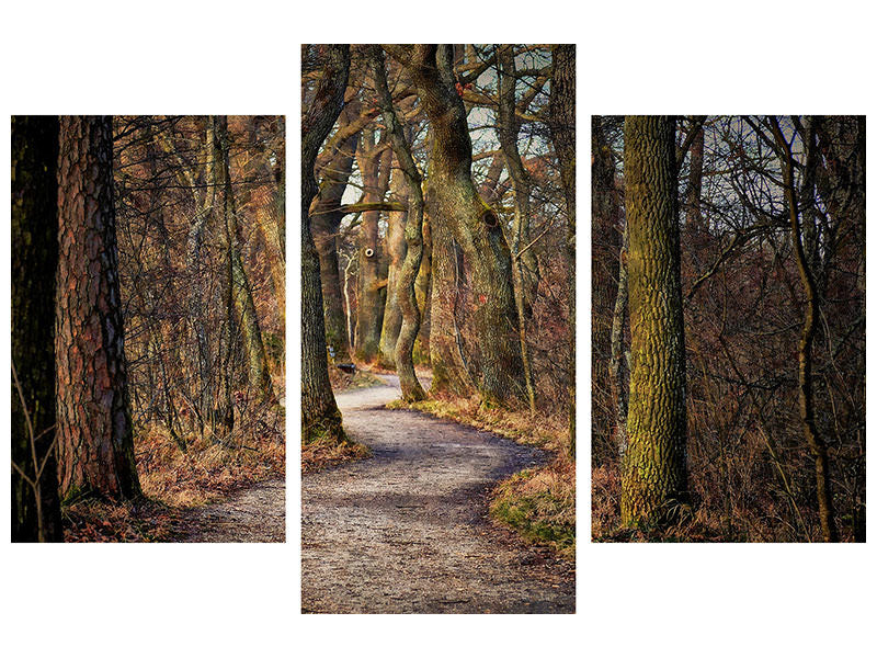 modern-3-piece-canvas-print-enchanted-forest