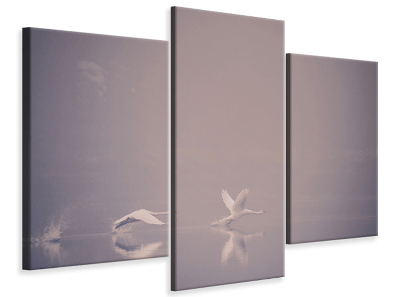 modern-3-piece-canvas-print-foggy-takeoff