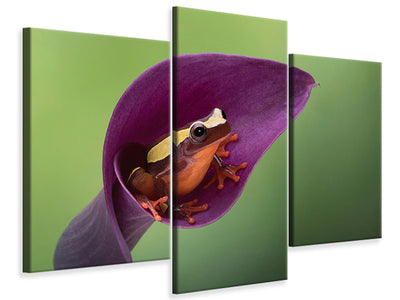 modern-3-piece-canvas-print-frog-cubby-house