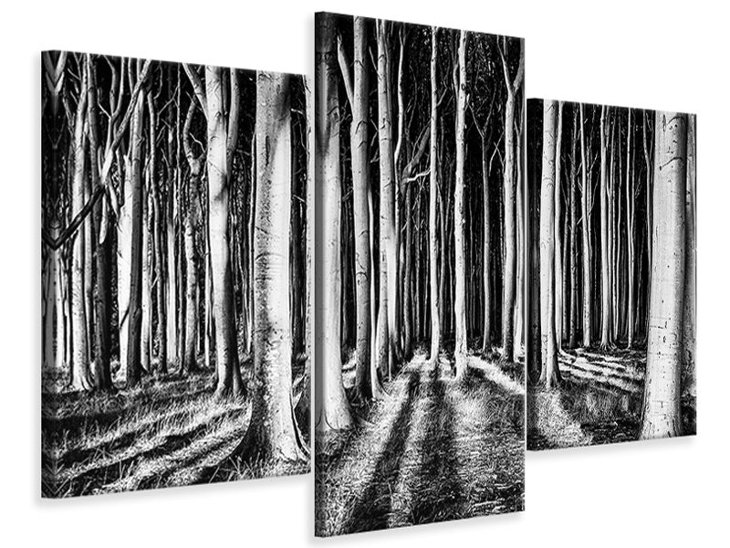 modern-3-piece-canvas-print-ghost-forest