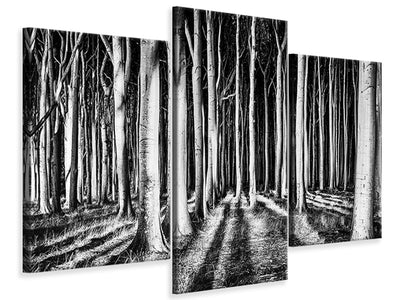 modern-3-piece-canvas-print-ghost-forest