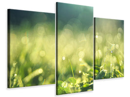 modern-3-piece-canvas-print-in-the-meadow