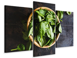 modern-3-piece-canvas-print-leaves-of-basil-iii