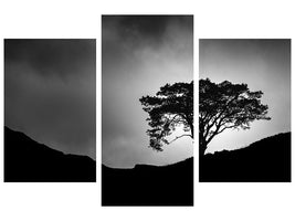 modern-3-piece-canvas-print-lone-tree