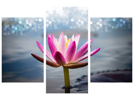 modern-3-piece-canvas-print-lotus-in-the-morning-dew