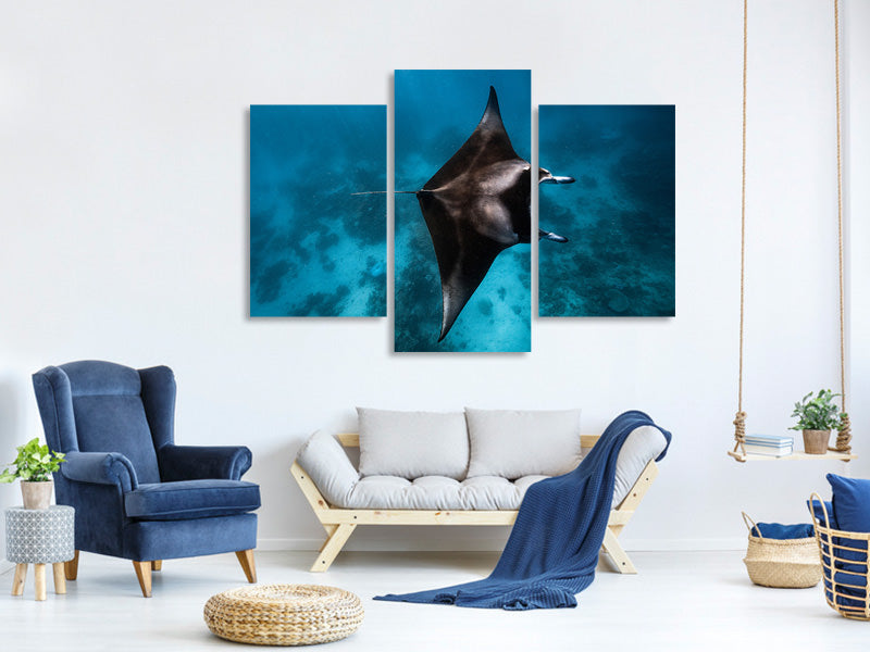 modern-3-piece-canvas-print-manta-fly