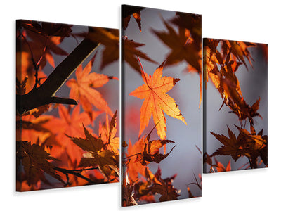 modern-3-piece-canvas-print-maple-leaves-in-autumn