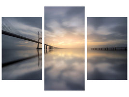modern-3-piece-canvas-print-mirroring