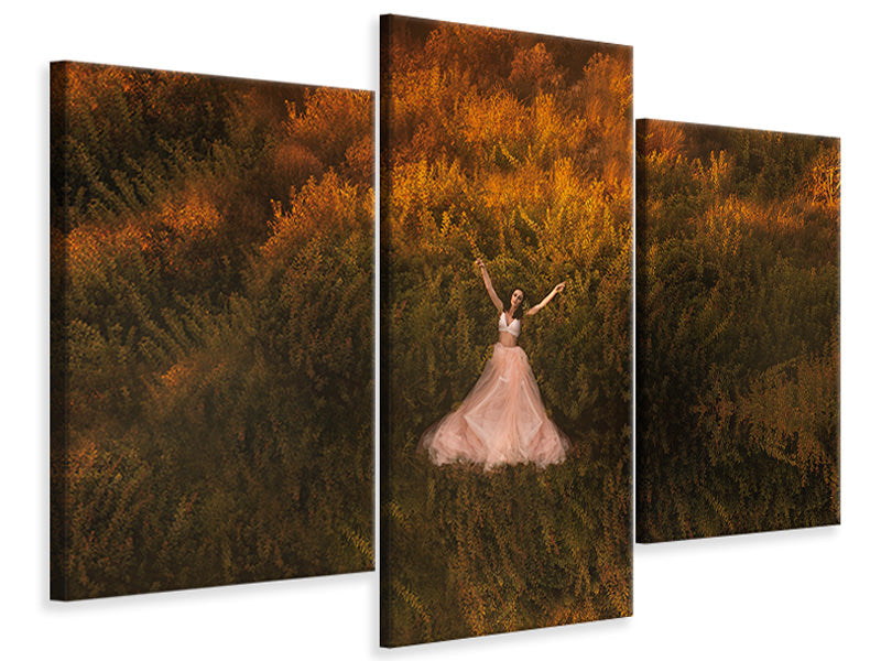 modern-3-piece-canvas-print-natalia-in-the-field