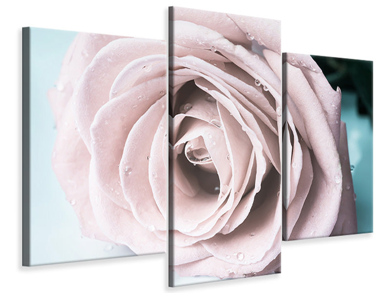 modern-3-piece-canvas-print-pastel-rose