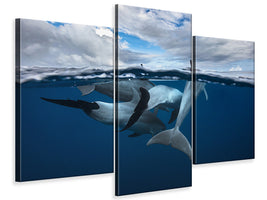 modern-3-piece-canvas-print-pod-of-dolphin-at-the-surface