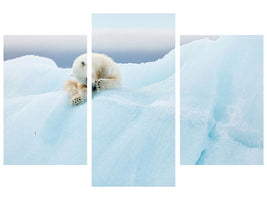 modern-3-piece-canvas-print-polar-bear-grooming