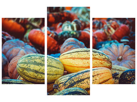 modern-3-piece-canvas-print-pumpkin-types