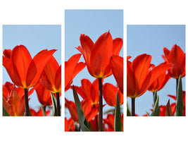 modern-3-piece-canvas-print-red-tulips-xl