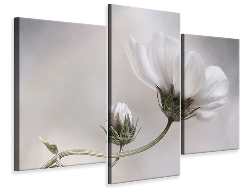 modern-3-piece-canvas-print-simply-cosmos