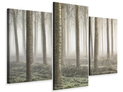modern-3-piece-canvas-print-small-woodland
