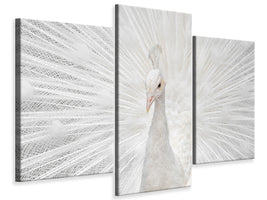 modern-3-piece-canvas-print-splendid-whitie