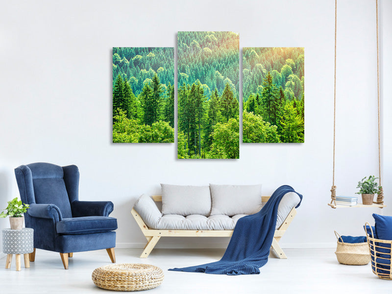 modern-3-piece-canvas-print-the-forest-hill