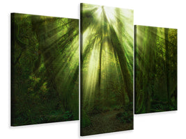 modern-3-piece-canvas-print-the-miracle
