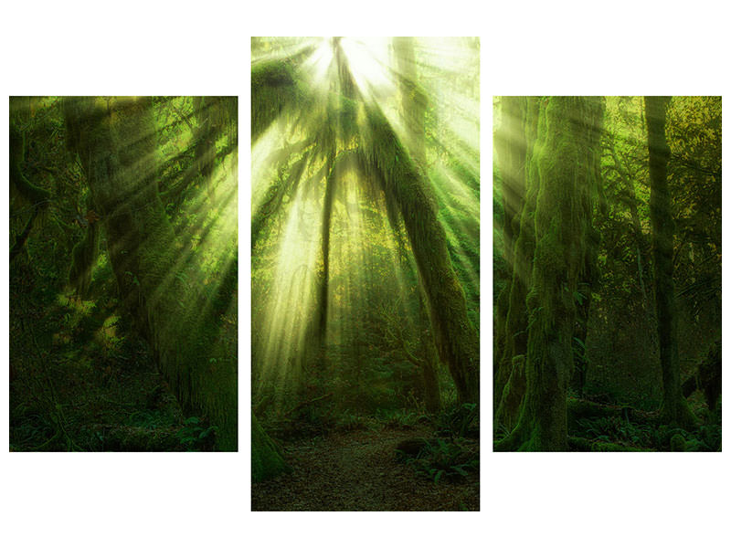 modern-3-piece-canvas-print-the-miracle