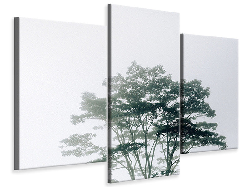 modern-3-piece-canvas-print-timor-leste