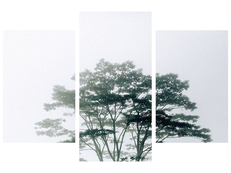 modern-3-piece-canvas-print-timor-leste