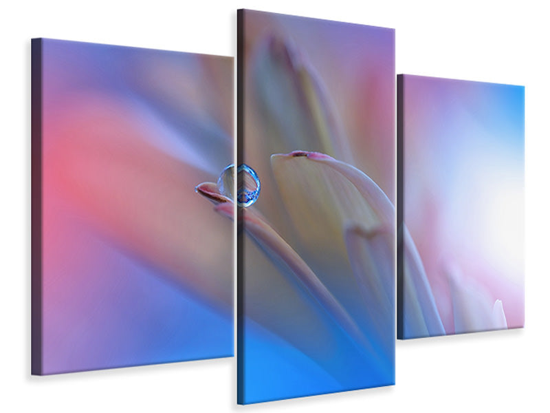 modern-3-piece-canvas-print-touch-me-softly