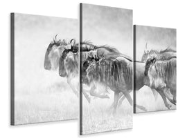 modern-3-piece-canvas-print-unstopable