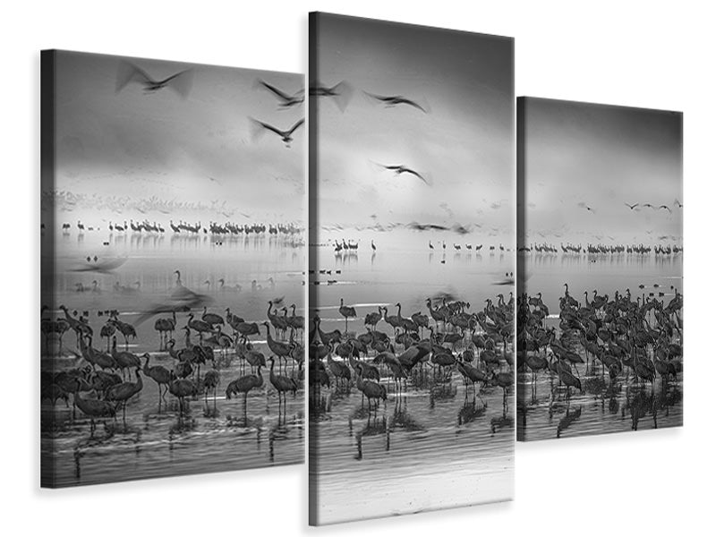 modern-3-piece-canvas-print-untitled-iii