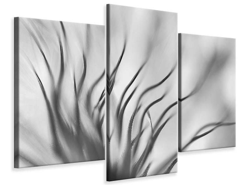 modern-3-piece-canvas-print-untitled-xvii-p