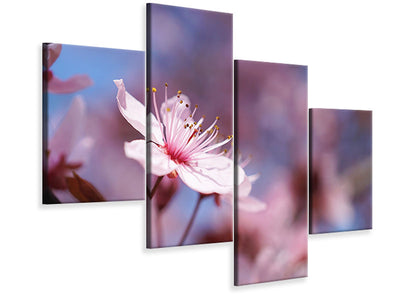 modern-4-piece-canvas-print-close-up-cherry-blossom