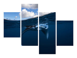 modern-4-piece-canvas-print-little-manta-ray