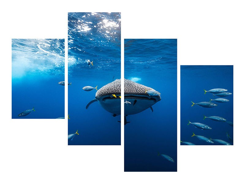 modern-4-piece-canvas-print-whale-shark-escorted-by-a-school-of-bonito