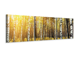 panoramic-3-piece-canvas-print-birch-forest