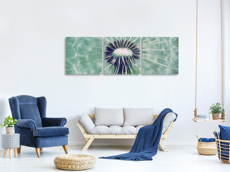 panoramic-3-piece-canvas-print-close-up-dandelion