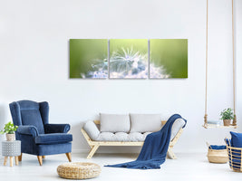 panoramic-3-piece-canvas-print-dandelion-xl-in-morning-dew