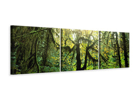 panoramic-3-piece-canvas-print-dreamy-forest