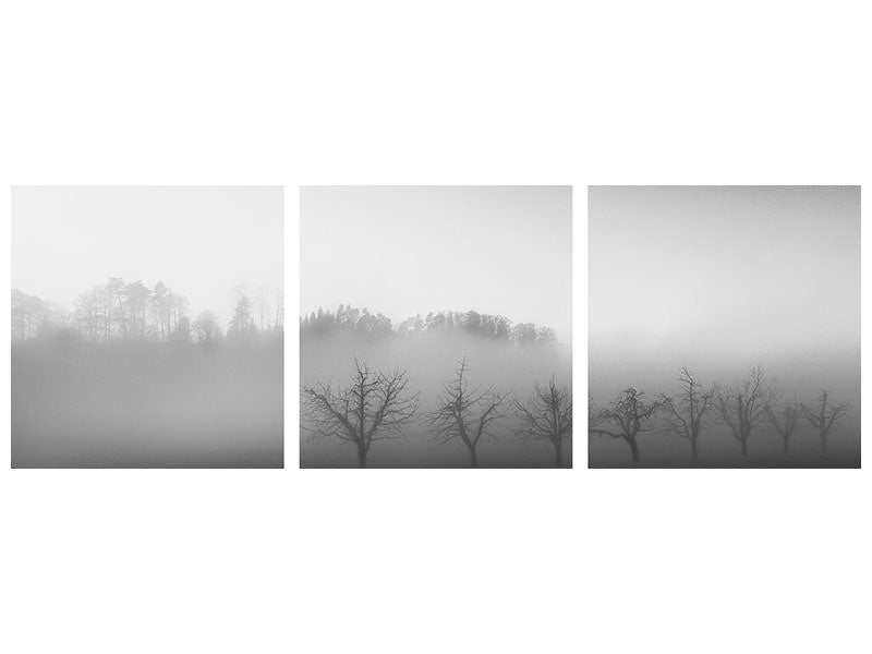 panoramic-3-piece-canvas-print-eight-trees-in-the-mist