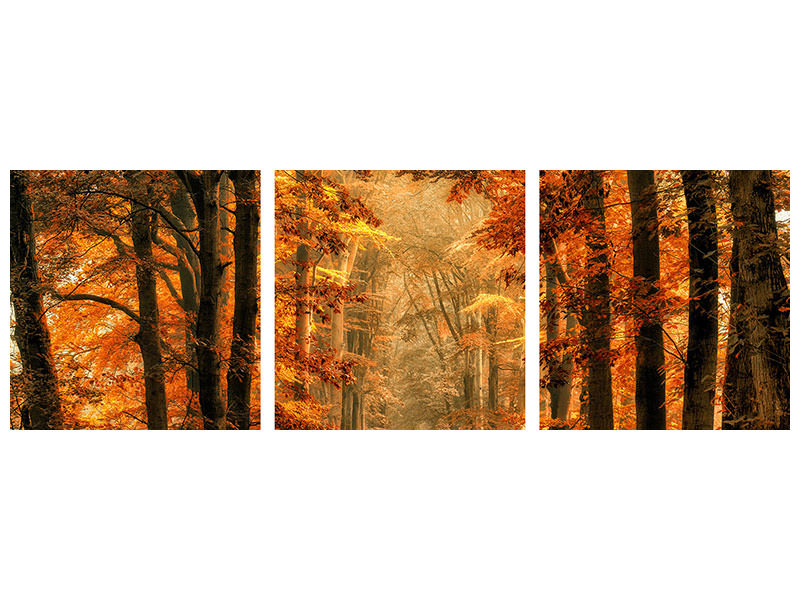 panoramic-3-piece-canvas-print-exit-the-portal