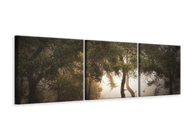panoramic-3-piece-canvas-print-foggy-memory-of-the-past-iii