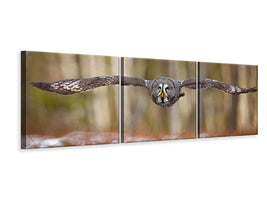 panoramic-3-piece-canvas-print-great-grey-owl