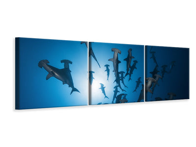 panoramic-3-piece-canvas-print-hammerhead-shark-underwater-photography