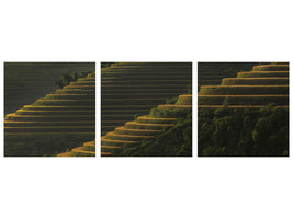 panoramic-3-piece-canvas-print-landing-fields-at-sunrise-beautiful-golden-light-shines