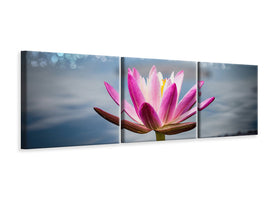 panoramic-3-piece-canvas-print-lotus-in-the-morning-dew