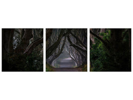 panoramic-3-piece-canvas-print-magic-road