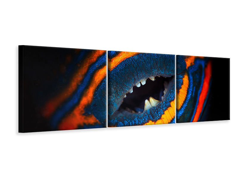 panoramic-3-piece-canvas-print-orange-lined-triggerfish